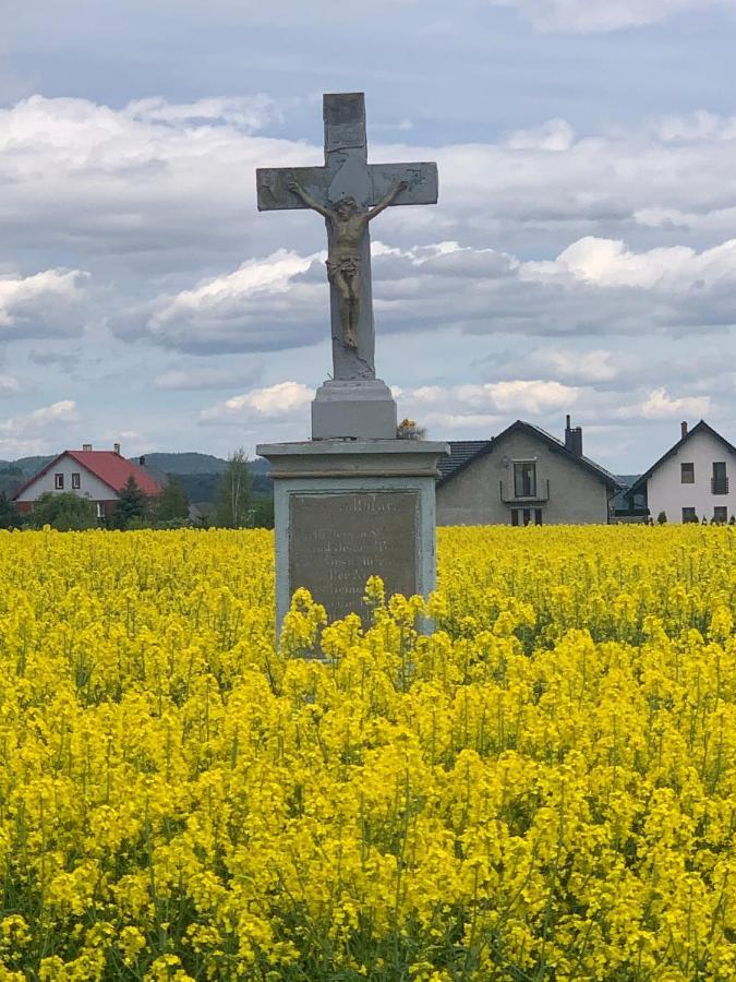 Willa Dom na wzgórzu Polanica-Zdrój Zewnętrze zdjęcie