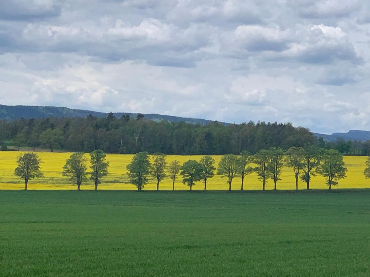Willa Dom na wzgórzu Polanica-Zdrój Zewnętrze zdjęcie
